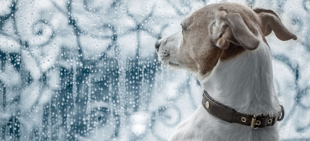 Cómo aislar tus ventanas para el invierno