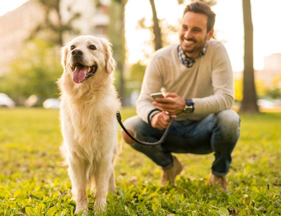 Mascotas responsabilidad civil perros nueva ley