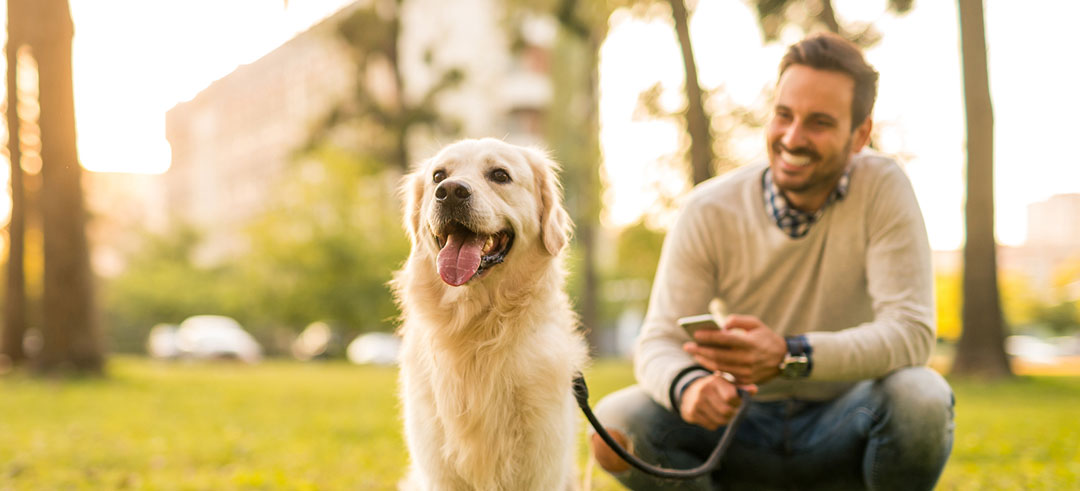 Mascotas responsabilidad civil perros nueva ley