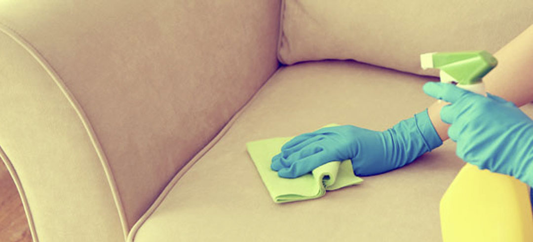 Cómo limpiar las manchas del sofá: truco para dejarlo como nuevo – Enséñame  de Ciencia