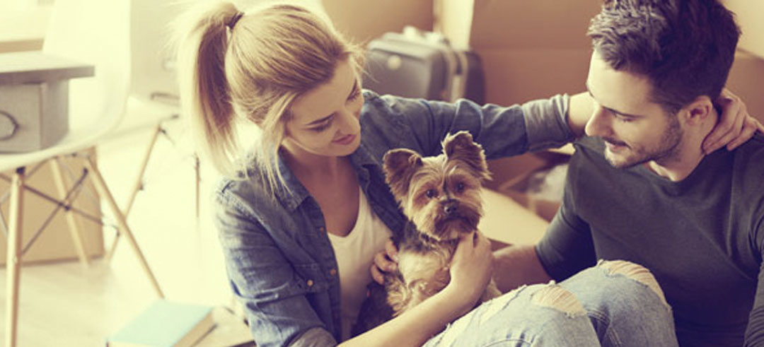 Cuida a tu perro cuando no estés en casa con esta cámara ¡y ahorra