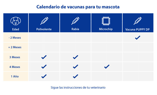 Vacunas obligatorias para perros